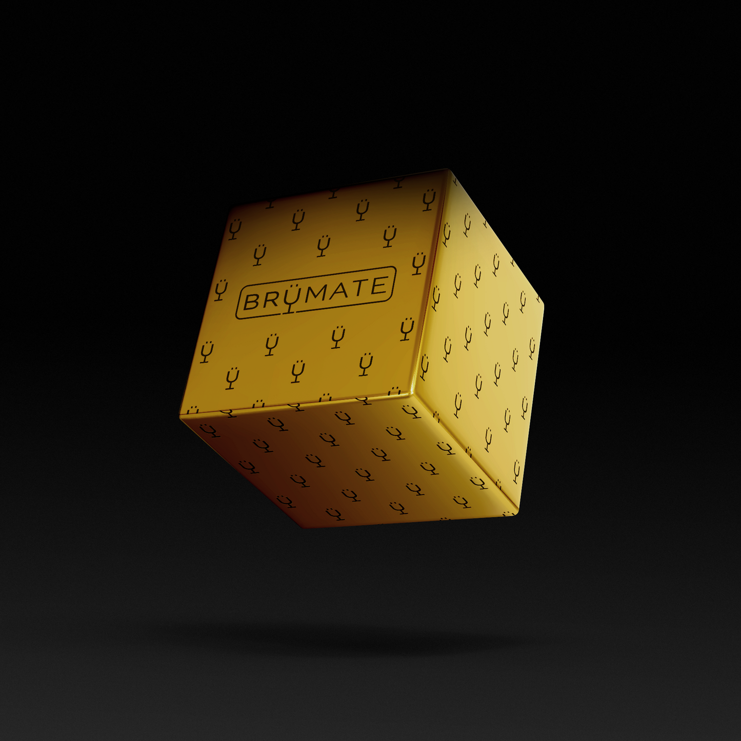premium-mystery-item-39-70-value-z9 IMG-1548.png